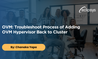 OVM Troubleshoot Process of Adding OVM Hypervisor Back to Cluster