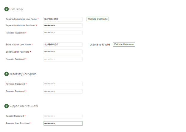 oracle audit vault 25