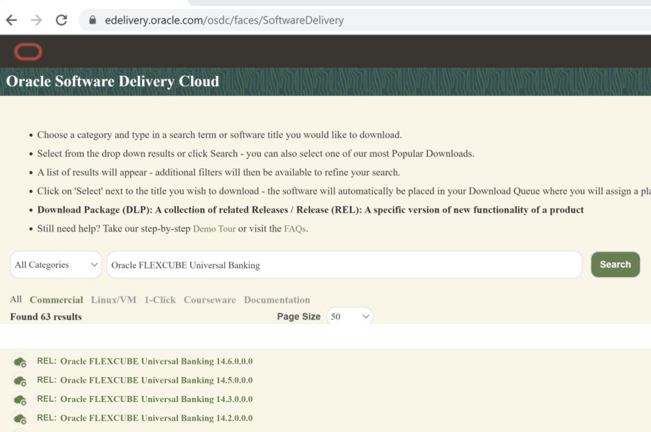 oracle software cloud delivery
