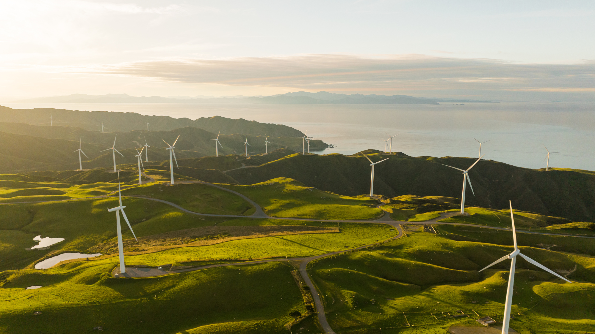 Oracle Cloud's Sustainability Push What It Means for Your Business